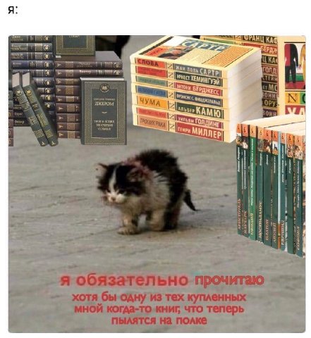 поль CAP ЧУМА МИЛЛЕР [1