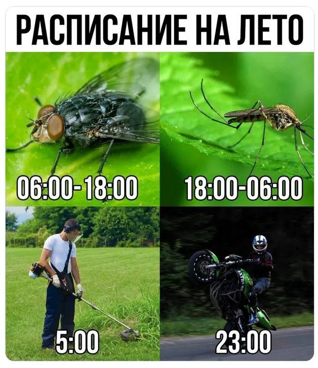 РАСПИСАНИЕ НА ЛЕТО 18:00-06:00 23:00