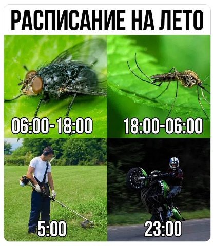 РАСПИСАНИЕ НА ЛЕТО 18:00-06:00 23:00