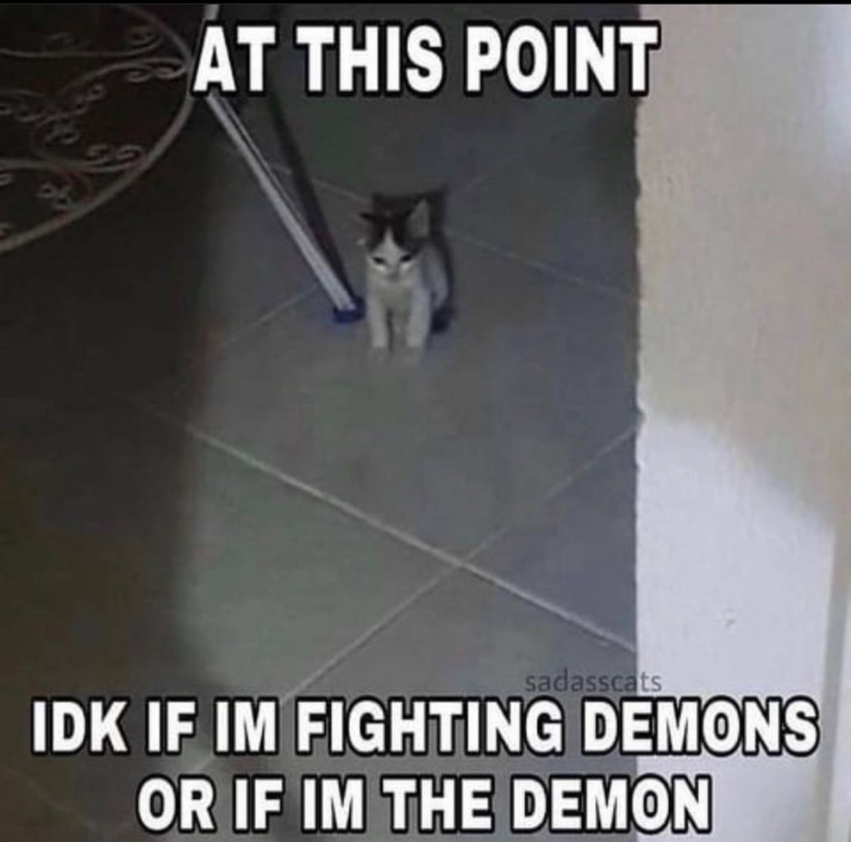 THIS POINT IDK IF FIGHTING DEMONS OR IF THE DEMON