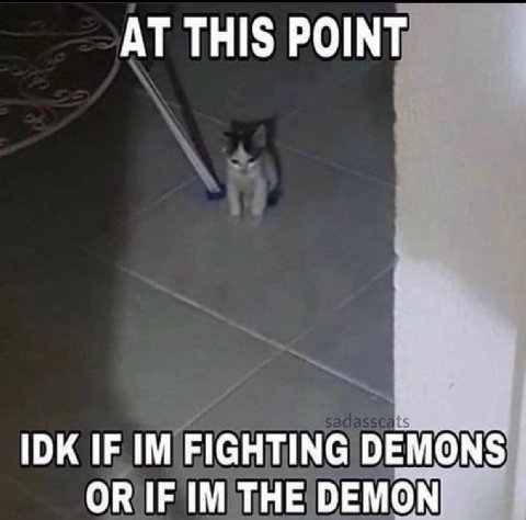 THIS POINT IDK IF FIGHTING DEMONS OR IF THE DEMON