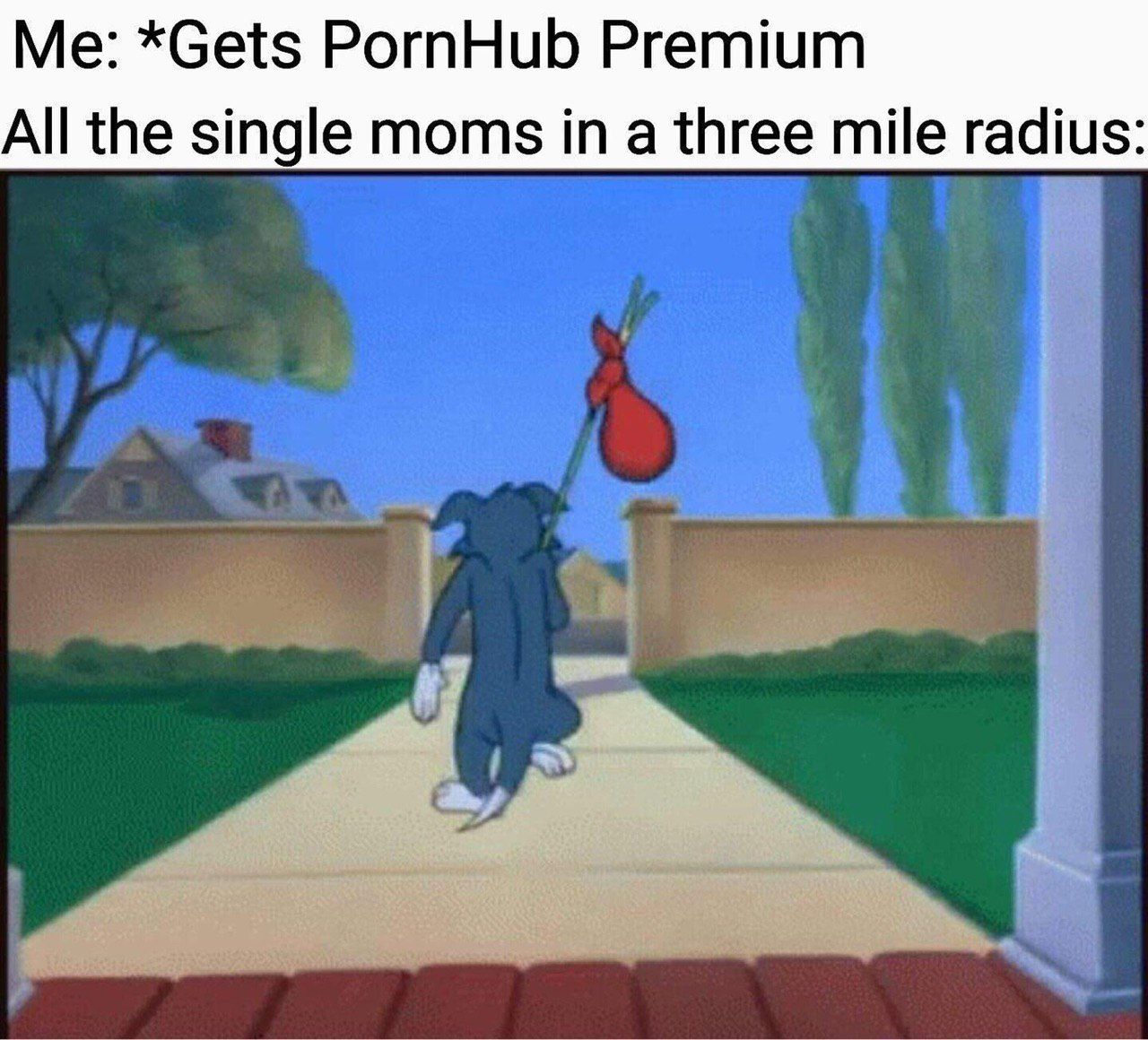 *Gets PornHub Premium All the single moms in a three mile radius: