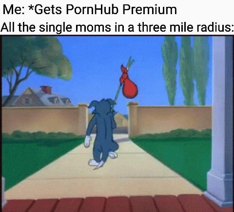 *Gets PornHub Premium All the single moms in a three mile radius: