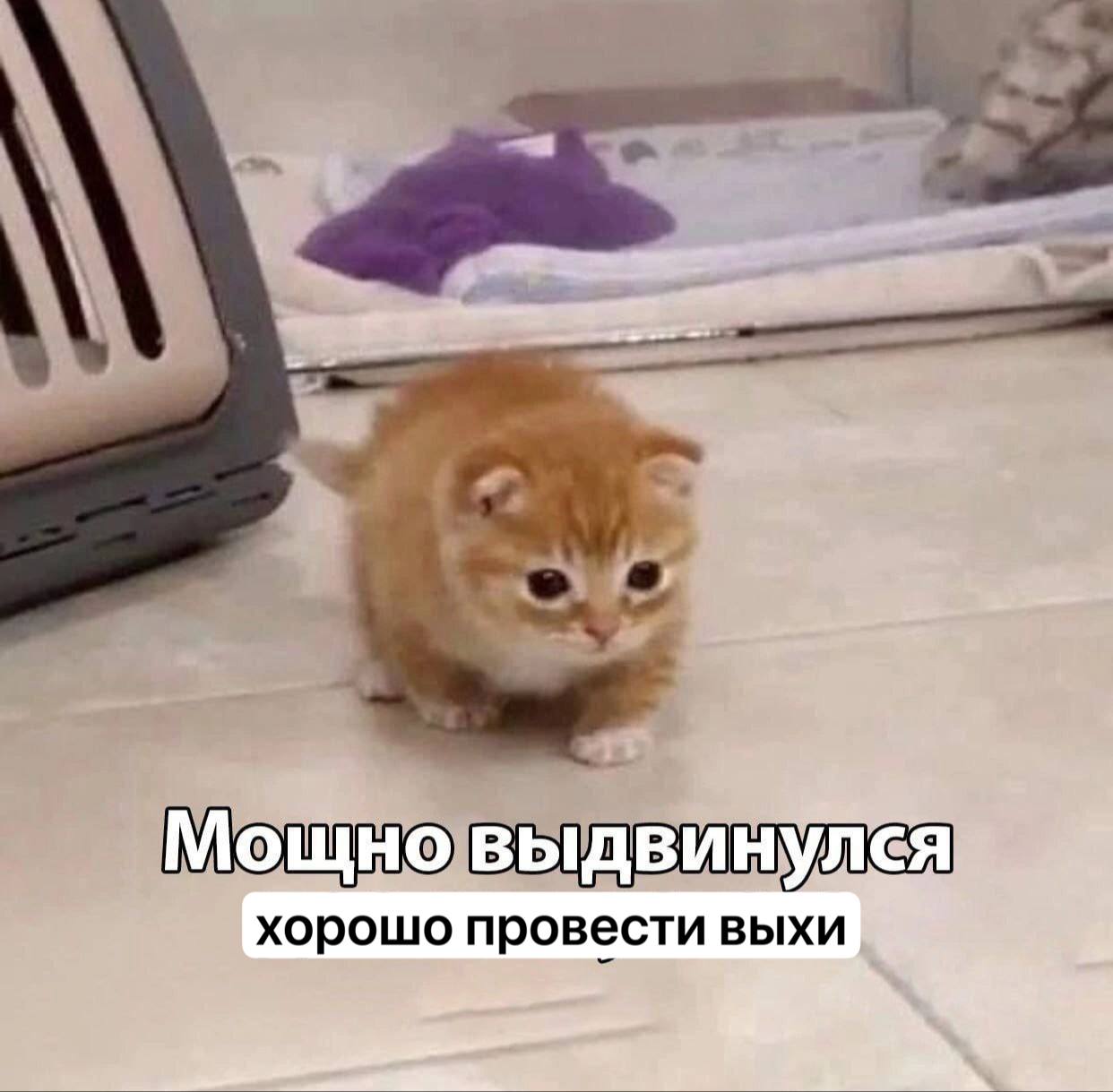 Мощно выдвин хорошо провести выхи