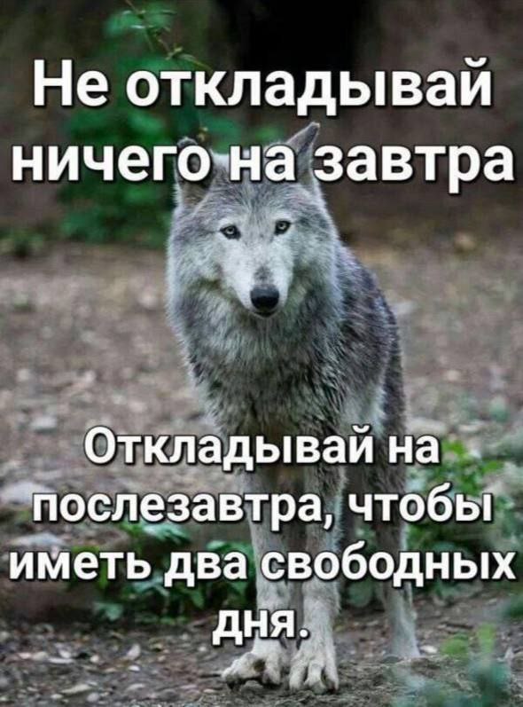 Не откладываи ничего-на завтра Откладываи на послезавтра, чтобы иметь два свободных дня