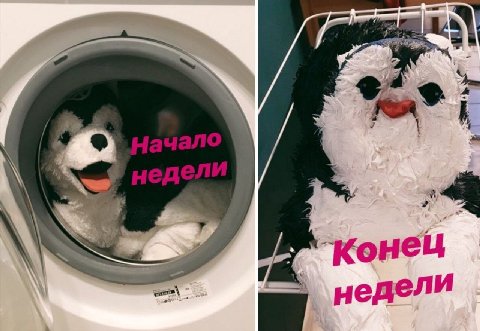 конец недели