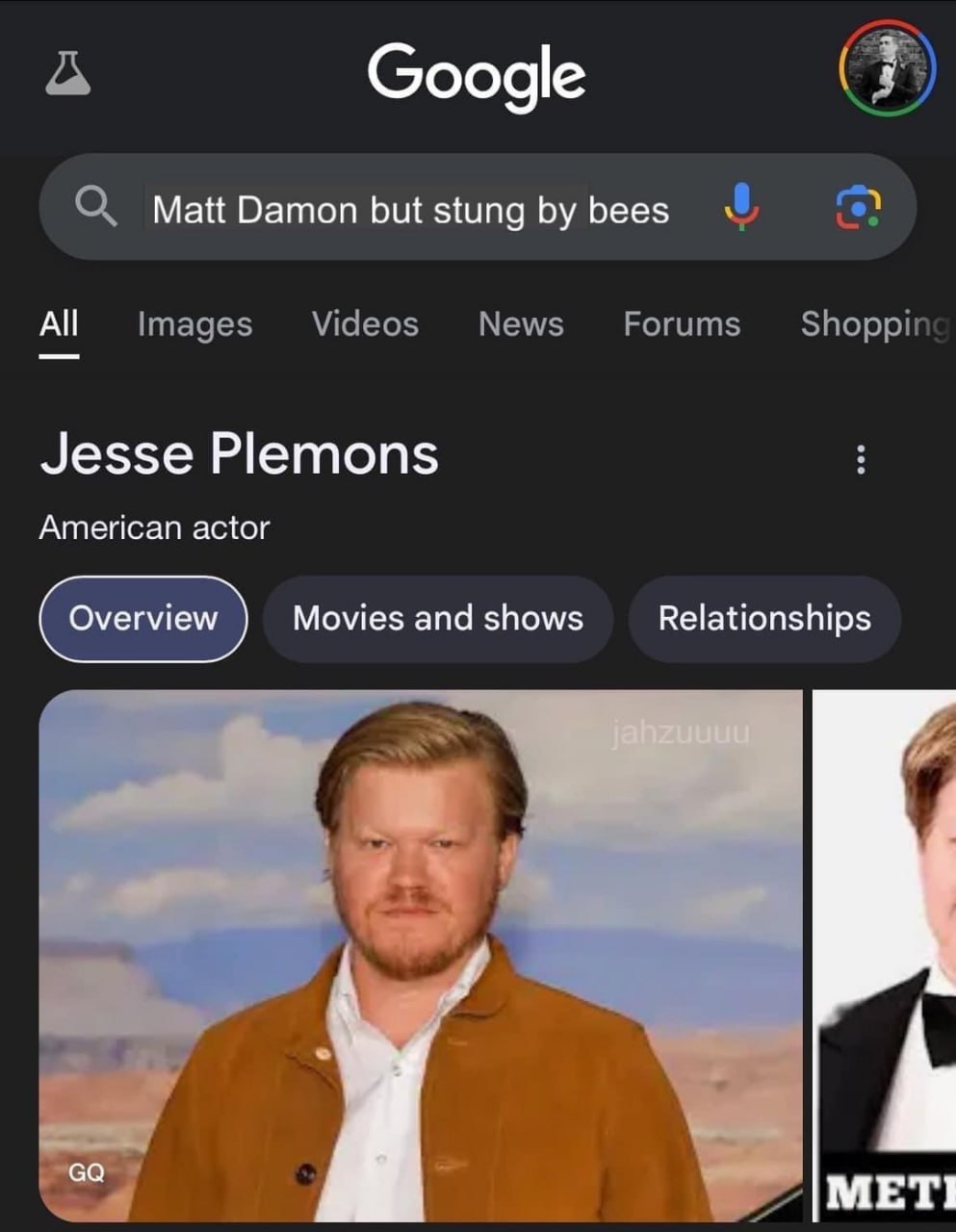 Google О; Matt Damon but stung bees Images Videos News Forums Shoppir Jesse Plemons American actor Movies and shows Relationships МЕТ!