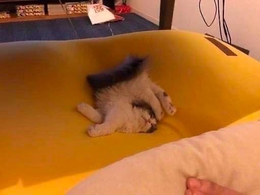 в I у
