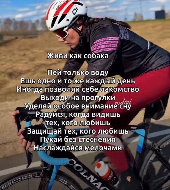 Живи как собака Пей только воду Ешь одно и то же каждый день Иногда позволяй себе лакомство Выходи на прогулки Уделяй особое внимание сну Радуйся, когда видишь тех, кого любишь Защищай тех, кого любиш