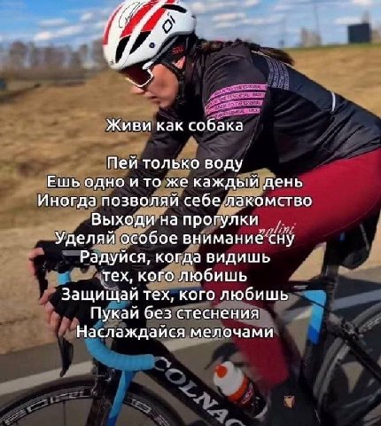 Живи как собака Пей только воду Ешь одно и то же каждый день Иногда позволяй себе лакомство Выходи на прогулки Уделяй особое внимание сну Радуйся, когда видишь тех, кого любишь Защищай тех, кого любиш