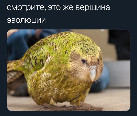 смотрите, это же вершина ЭВОЛЮЦИИ я я