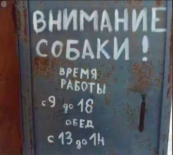 ВНИМАНИЕ СОБАКИ ВРЕМЯ РАБОТЫ 90 18 с