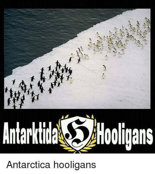 4 Antarctica hooligans