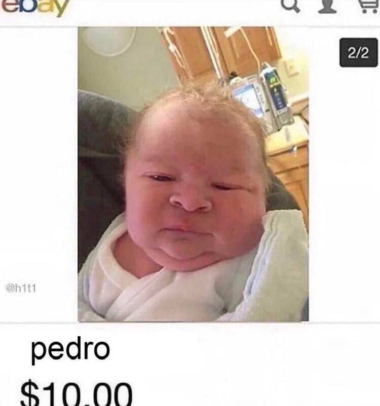 pedro 00