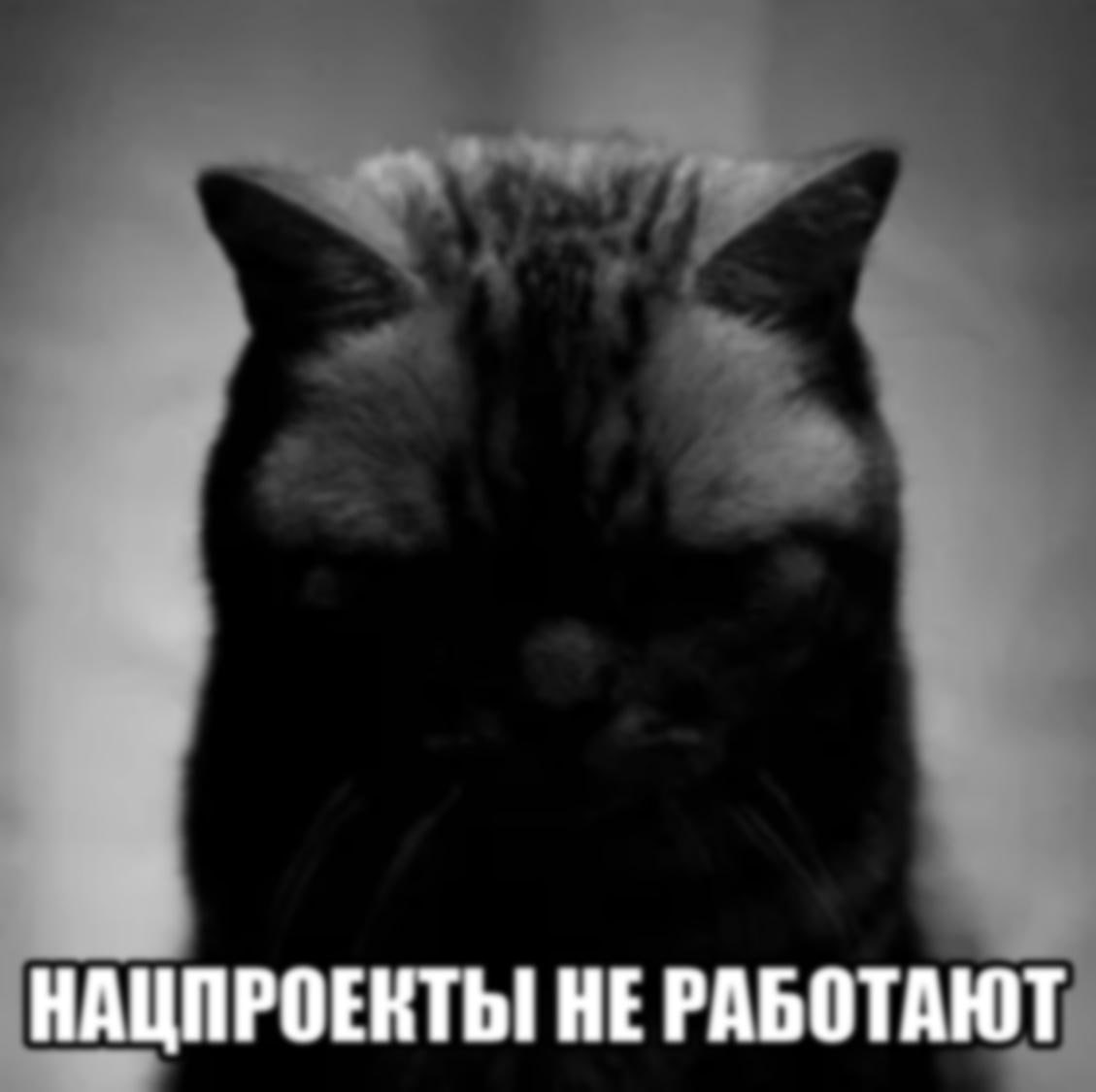 НАЦПРОЕНТЫ НЕ РАБОТАЮТ