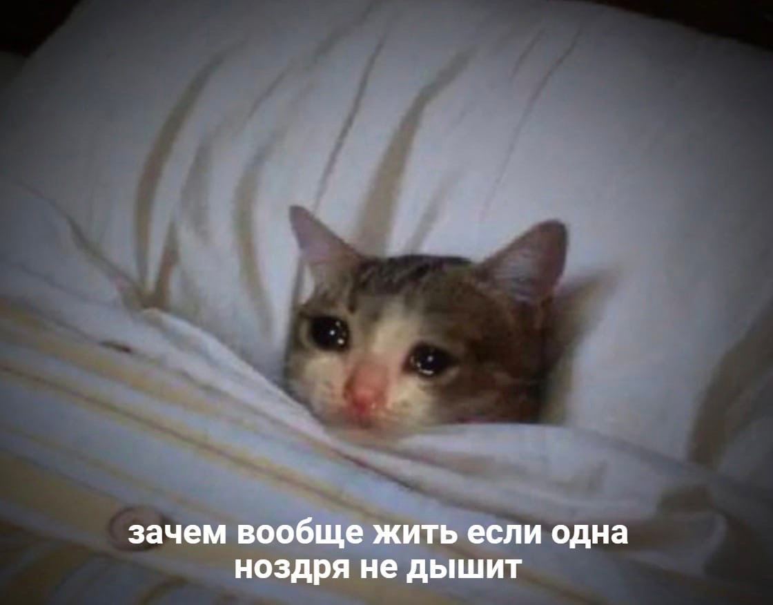 зачем вообще жить если одна ноздря не дышит