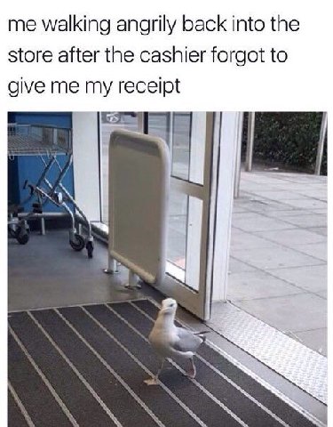 me walking angrily back into the store after the cashier forgot to give me my receipt
