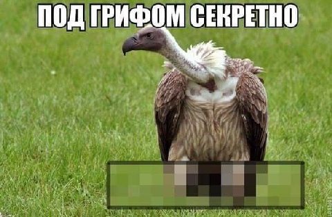 ПОД ГРИФОМ СЕКРЕТНО