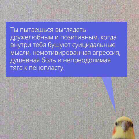 Ты пытаешься выглядеть дружелюбным и позитивным, когда внутри тебя бушуют суицидальные мысли, немотивированная агрессия, душевная боль и непреодолимая тяга к пенопласту. и’