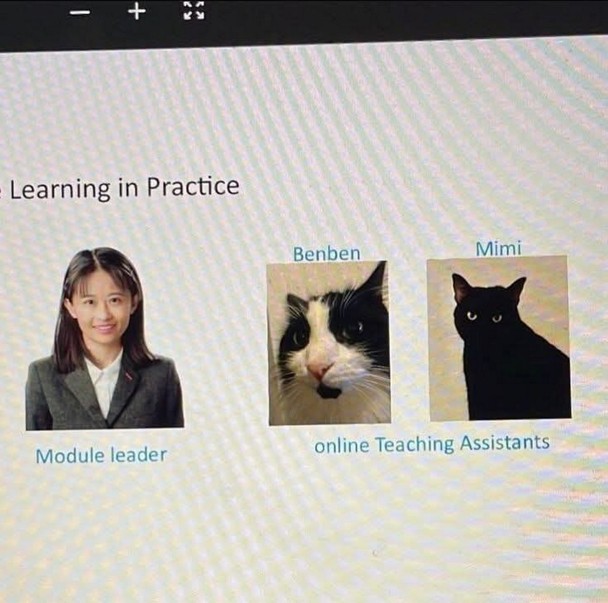 in Practice Benben Mimi Module leader online Teaching Assistants