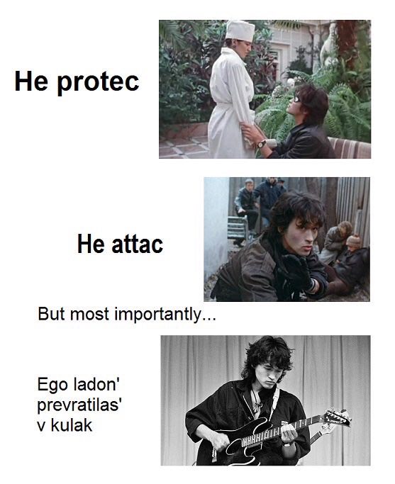 He protec But most importantly... prevratilas' у kulak