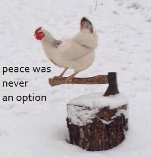 peace never an option