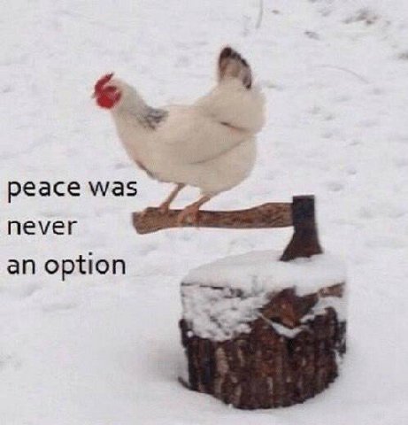 peace never an option
