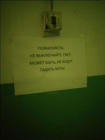 ЗЕЕ: ПОЖАЛУЙСТА НЕ ВЫКЛЮЧАЙТЕ СВЕТ МОЖЕТ БЫТЬ, НЕ БУДУТ ГАДИТЬ КОТЫ