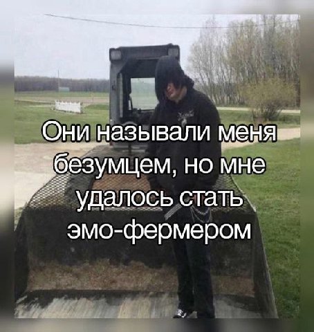 Они называли безумцем, но мне удалось стать эмо-фермером