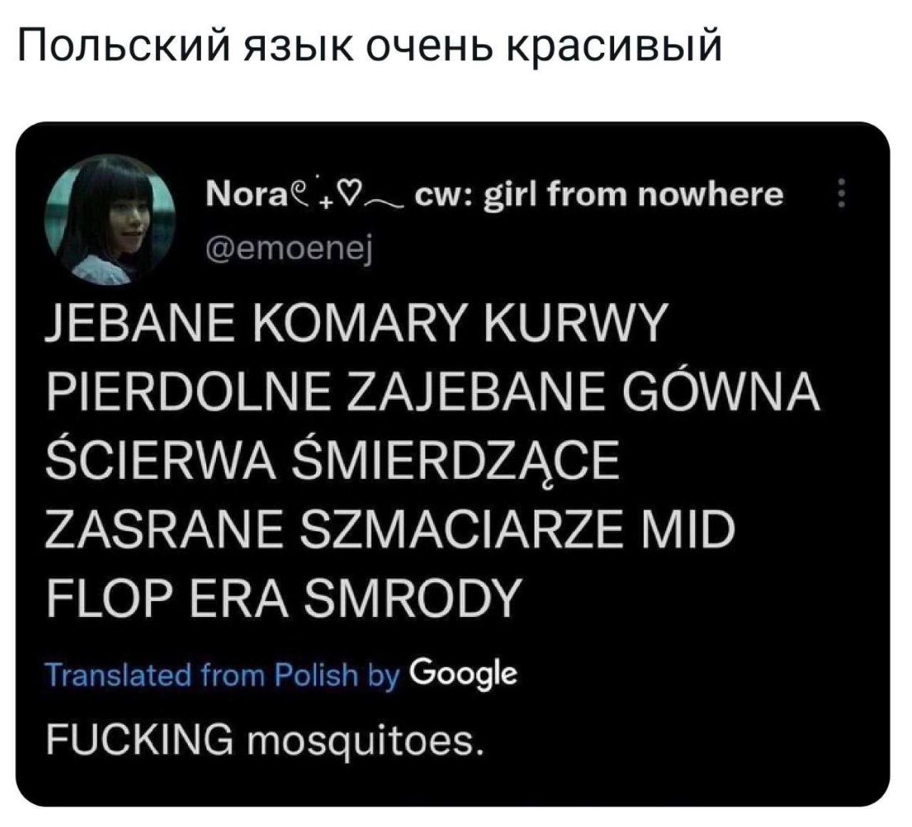 Польский язык очень красивый 7’ Nora? girl from nowhere @етоепе] JEBANE КОМАКУ KURWY PIERDOLNE ZAJEBANE GOWNA SCIERWA SMIERDZACE ZASRANE SZMACIARZE MID FLOP ERA SMRODY Translated from Polish Google FU