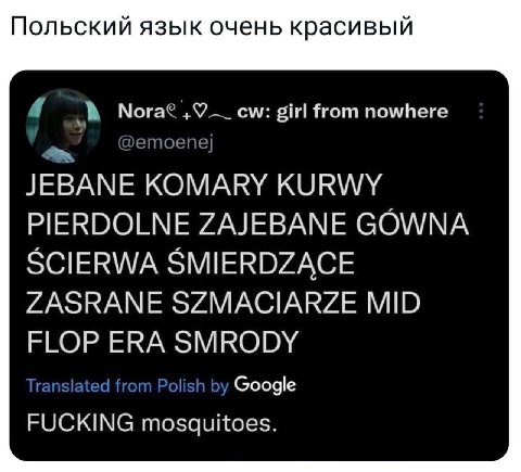 Польский язык очень красивый 7’ Nora? girl from nowhere @етоепе] JEBANE КОМАКУ KURWY PIERDOLNE ZAJEBANE GOWNA SCIERWA SMIERDZACE ZASRANE SZMACIARZE MID FLOP ERA SMRODY Translated from Polish Google FU