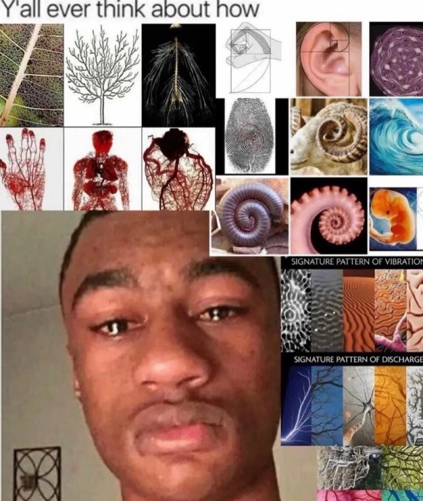 а! ever think about Now к И —4— 44 IGNATURE PATTERN OF с at А) "SIGNATURE PATTERN OF DISCHARGE 4 4 fie