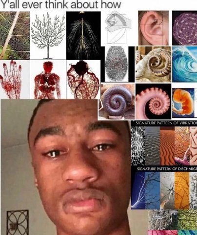 а! ever think about Now к И —4— 44 IGNATURE PATTERN OF с at А) "SIGNATURE PATTERN OF DISCHARGE 4 4 fie
