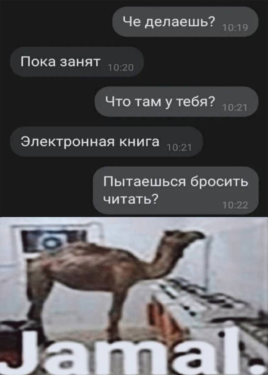 Че делаешь? Пока занят Что там у тебя? Электронная книга Пытаешься бросить читать? Jamal.