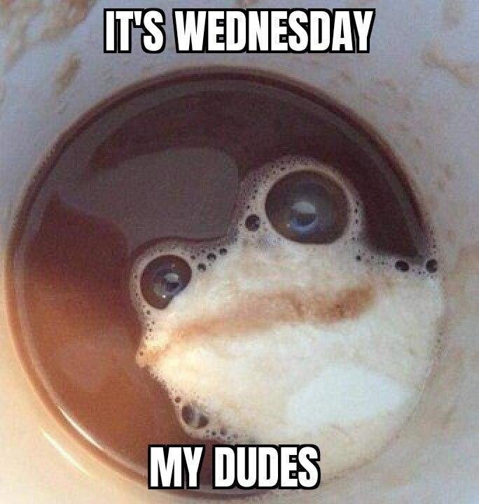 IT'S WEDNESDAY MY DUDES