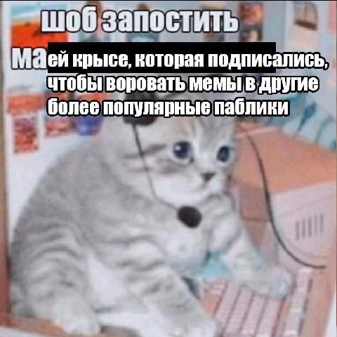 —шоб запостить Маей крысе, которая подписались, воровать мемы в другие более популярные паблики