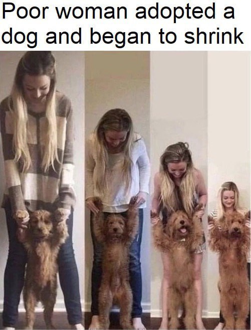 Poor woman adopted а dog and began to shrink