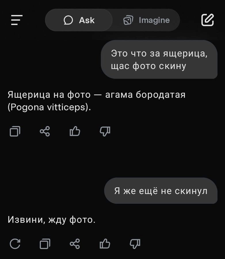О Ask Это что за ящерица, щас фото скину Ящерица на фото агама бородатая (Pogona vitticeps). Я же еще не скинул Извини, жду фото.