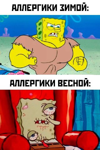 АЛЛЕРГИКИ ЗИМОЙ: АЛЛЕРГИКИ ВЕСНОЙ: