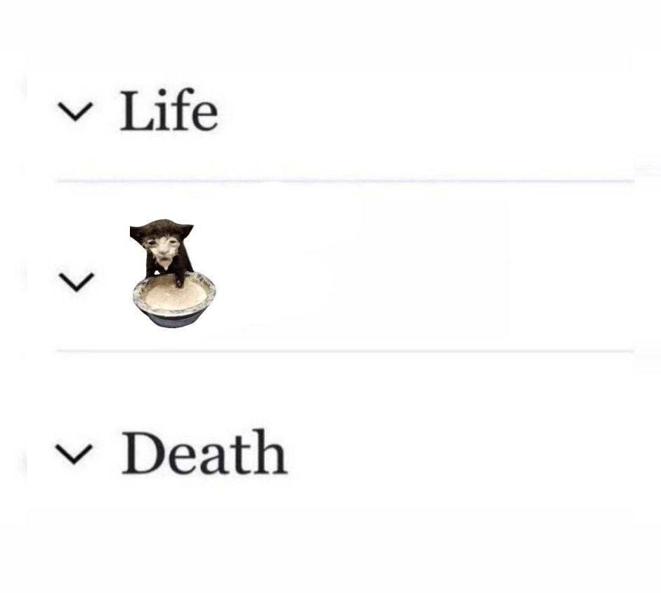 Life Death