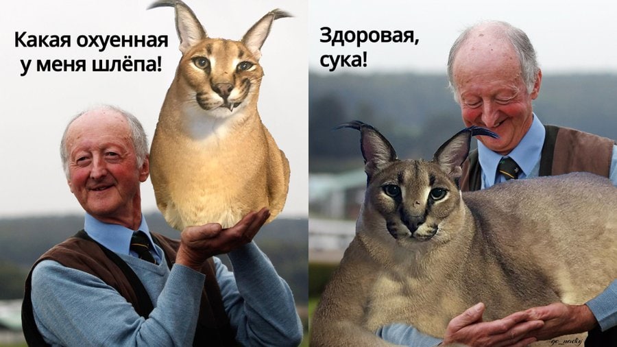 Здоровая, Какая охуенная уменя шлёпа! сука!