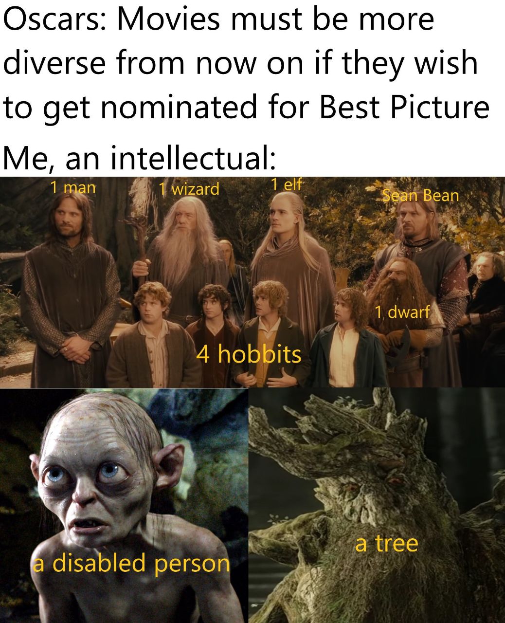 Oscars: Movies must be more diverse from now on if they wish to get nominated for Best Picture Me, an intellectual: 1 man wizard 4 hobbits A a tree disabled person