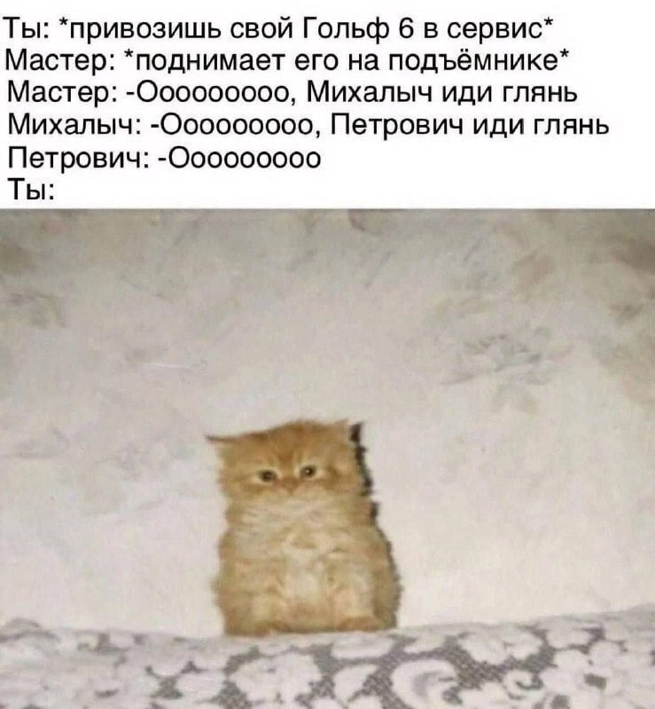 Ты: *привозишь свой Гольф 6 в сервис* Мастер: *поднимает его на подъёмнике* Мастер: Михалыч иди глянь Михалыч: Петрович иди глянь Петрович: Ты: я с