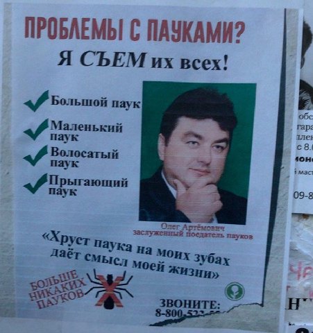 ПРОБЛЕМЫ С ПАУКАМИ? Я СЪЕМ всех! Большой паук гар Маленький с 8.1 Волосатый он 09-8 заслуженный поедатель пауко mer А моих Зубах Жизни»