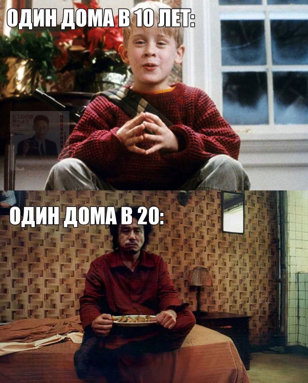 ОДИН ДОМА 20: