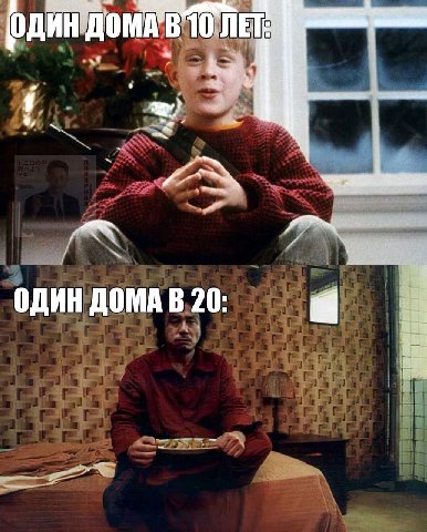 ОДИН ДОМА 20:
