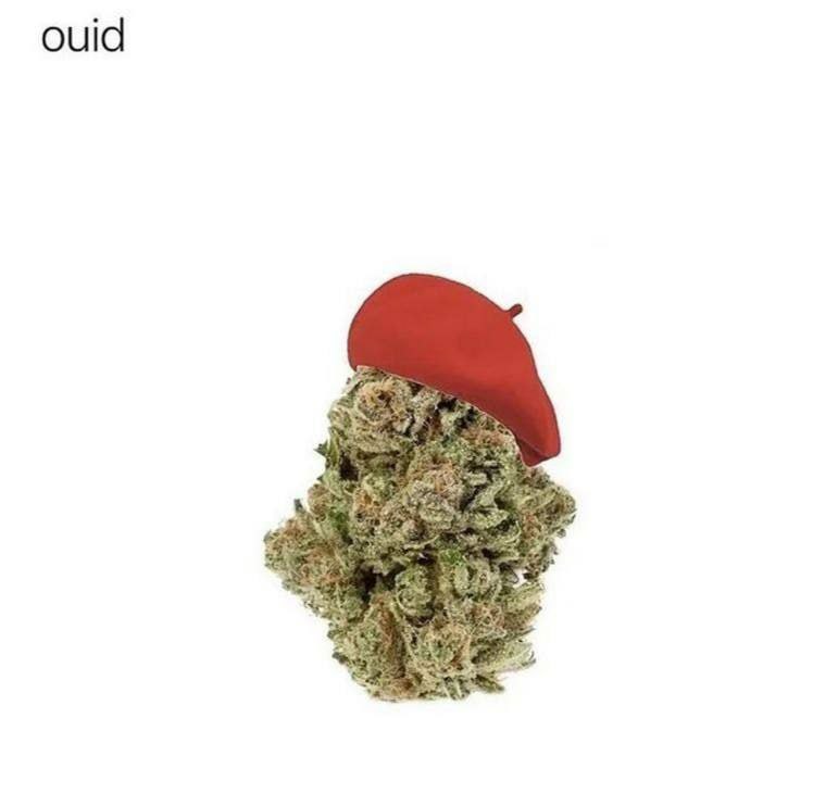 ouid A \A