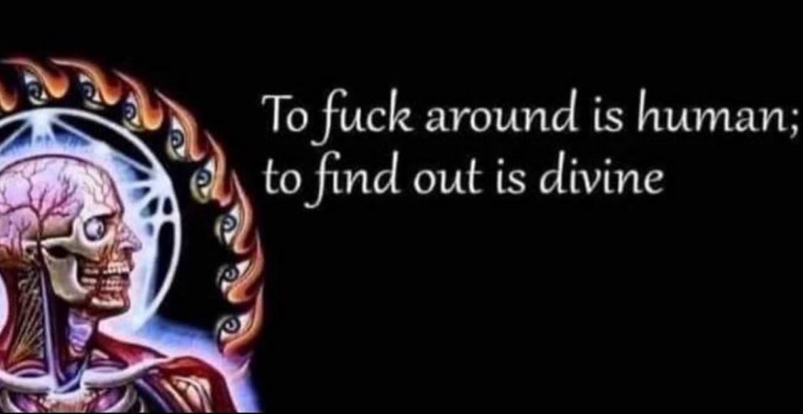 To fuck around is human; to find out is divine