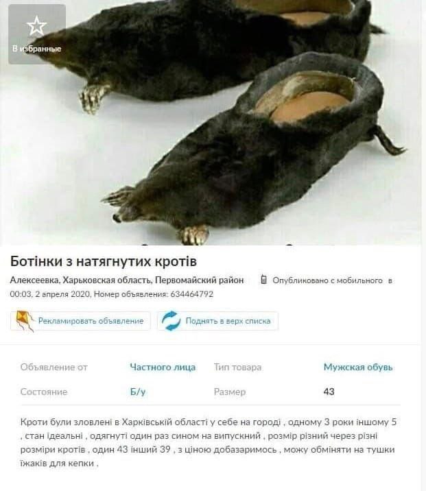 Вбранные a 3 натягнутих KPOTIB Алексеевка, Харьковская область, Первомайский 6 Опубликовано с мобильного в 00:03, 2 впреля 2020, Номер объявления: 634464792 объявление Поднять в верх списка Частного л