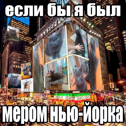 если быя был Мером yak